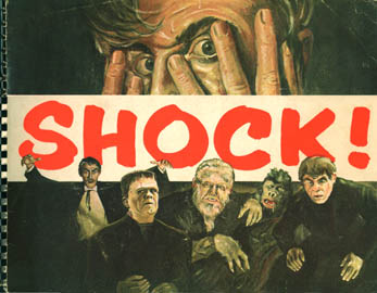 shock book cover